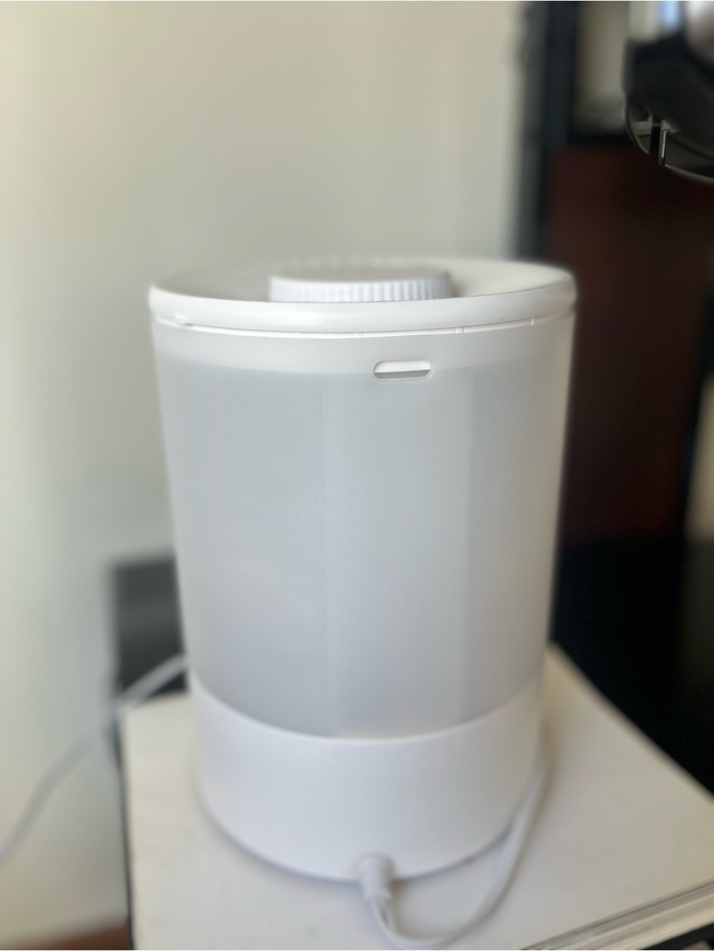 Megawise White Portable Ultrasonic Humidifier - Compact Moisture Solution